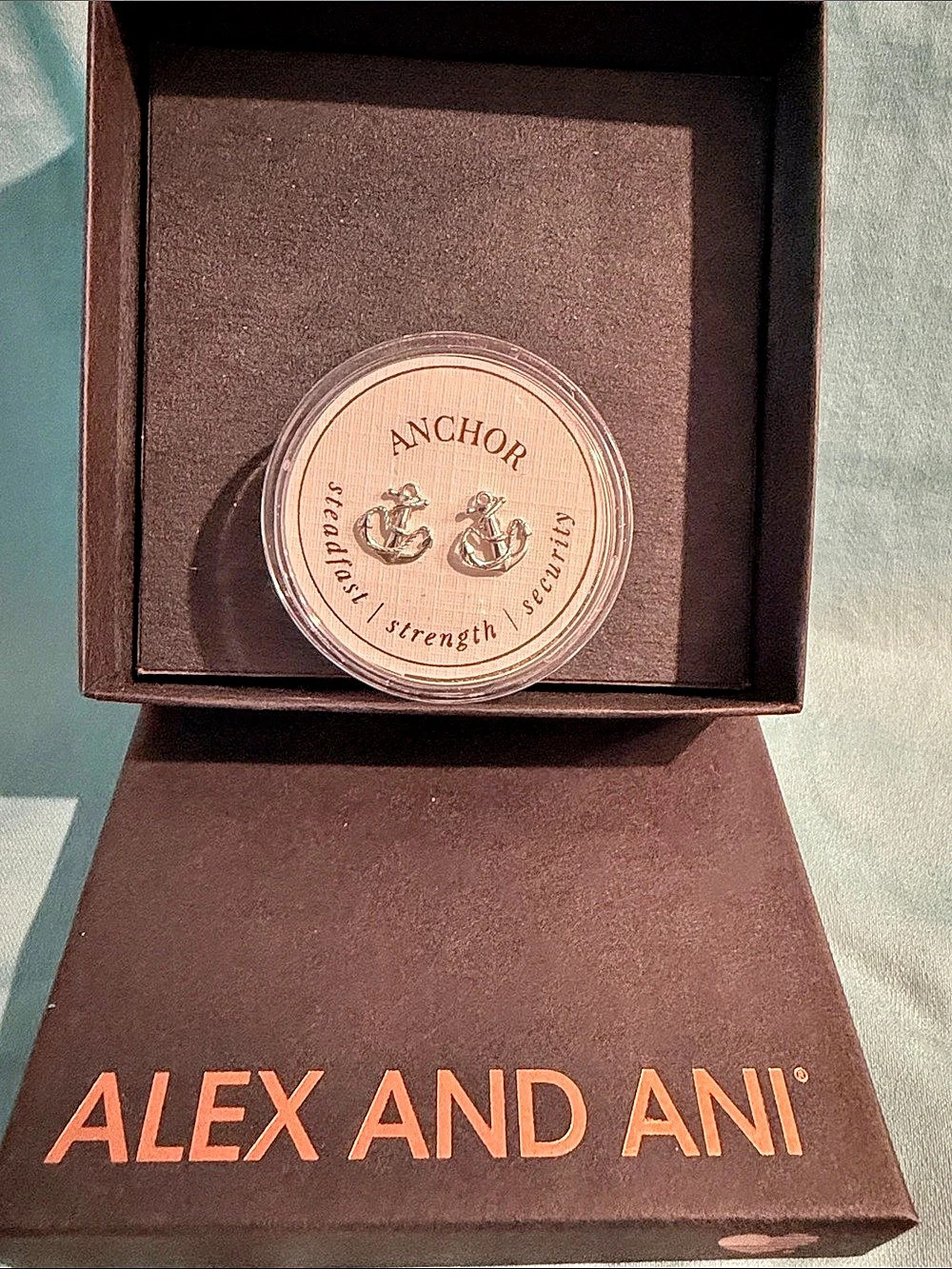 Alex and Ani Anchor Earrings in .925 Silver NWT